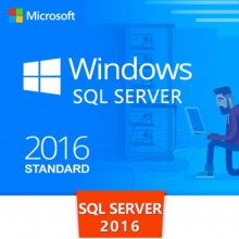 微软 WinSvr 2016 服务器软件标准版（Win2016中文标准版10用户（政府行业）开放式许可电子授权不含光盘）