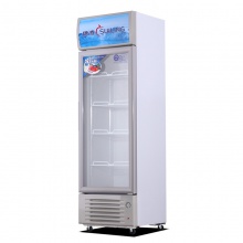 穗凌（SUILING）LG4-289L 289升冷藏柜 立式冰柜家用商用小型冷柜饮料展示柜透明玻璃保鲜柜